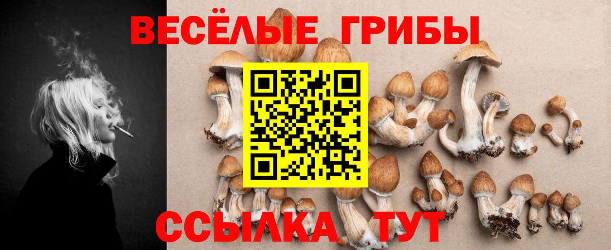 Псилоцибиновые грибы Magic Shrooms  Вход с VPN  Братск 